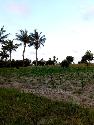 For Sale 12 Acre Agricultural Land Kikambala. - Image 6