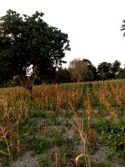 For Sale 12 Acre Agricultural Land Kikambala. - Image 2