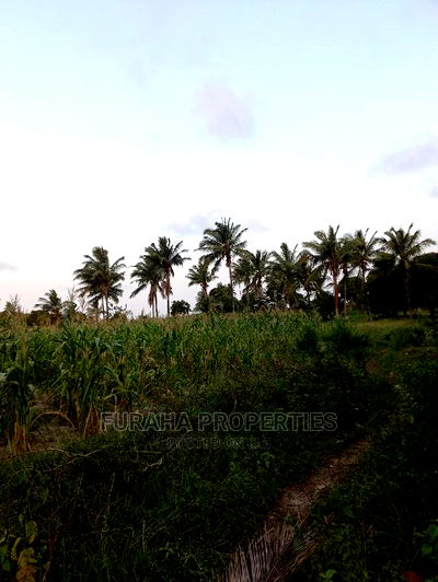 For Sale 12 Acre Agricultural Land Kikambala. - Image 1