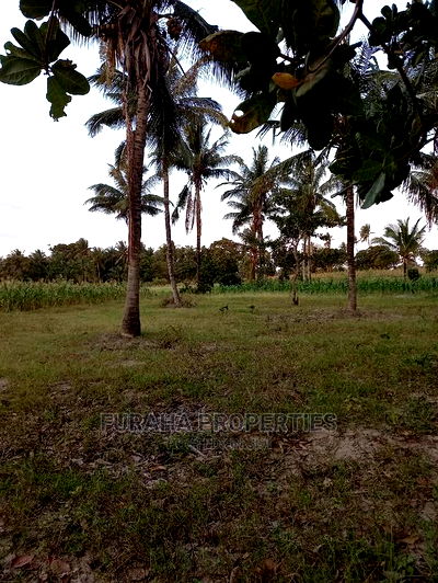 For Sale 12 Acre Agricultural Land Kikambala. - Image 3