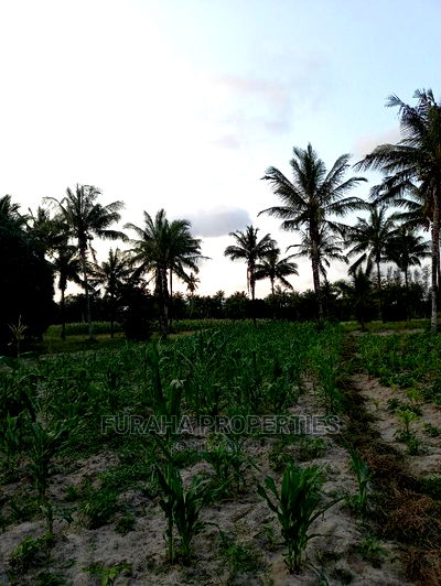 For Sale 12 Acre Agricultural Land Kikambala. - Image 8