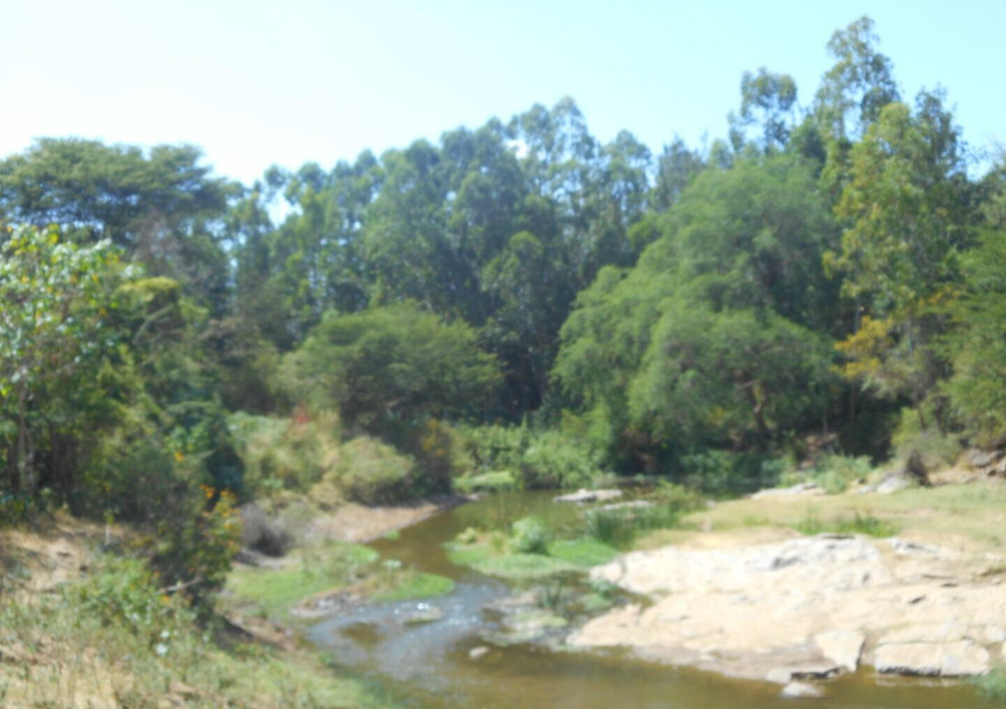 28-Acre Farm with Garden and Parking - Machakos