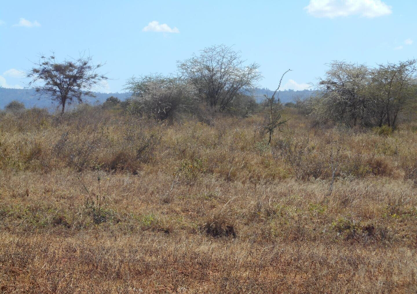 28-Acre Farm with Garden and Parking - Machakos