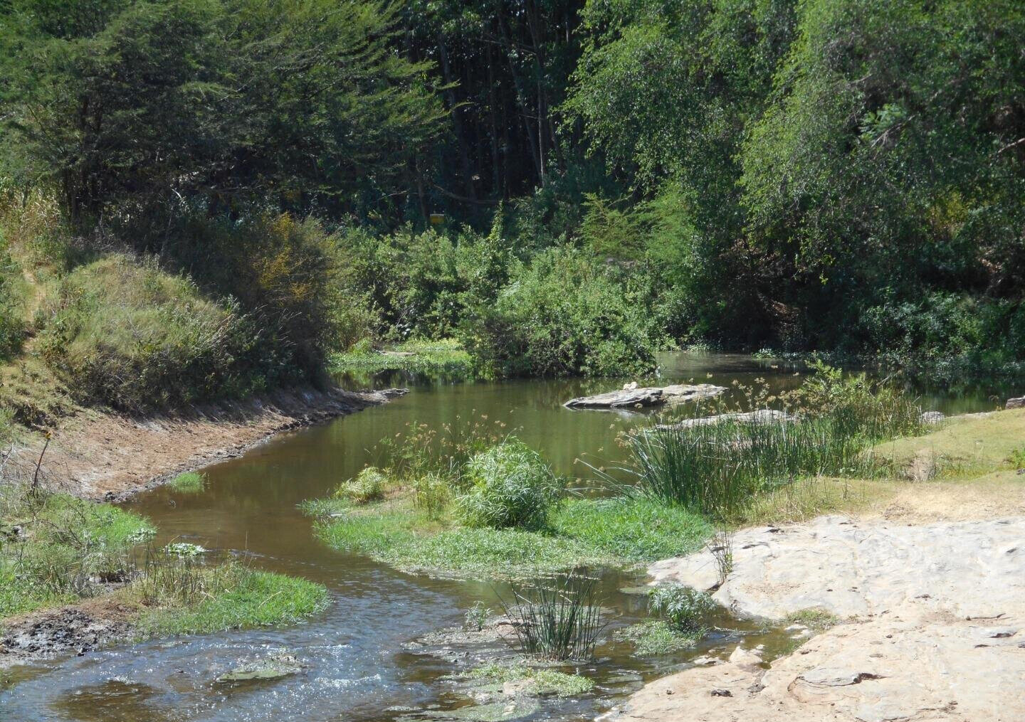28-Acre Farm with Garden and Parking - Machakos