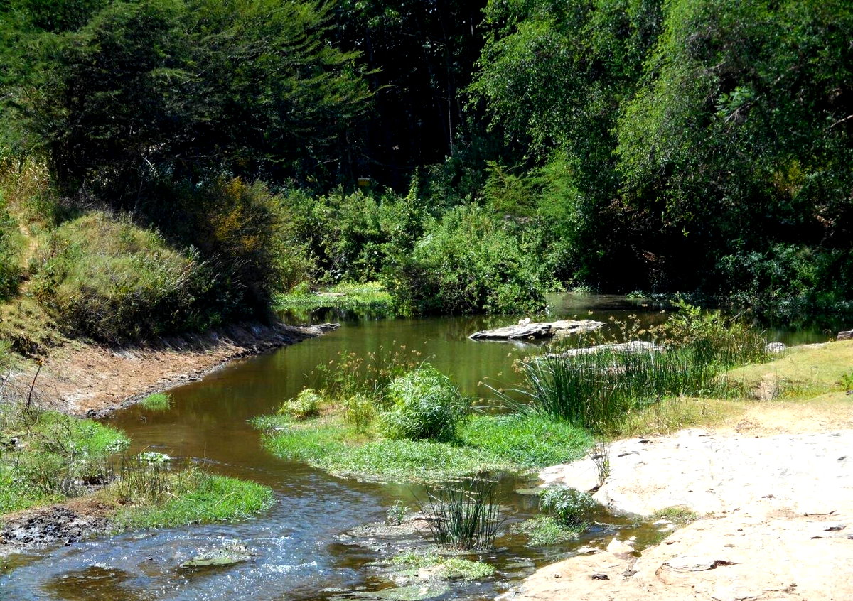 28-Acre Farm with Garden and Parking - Machakos