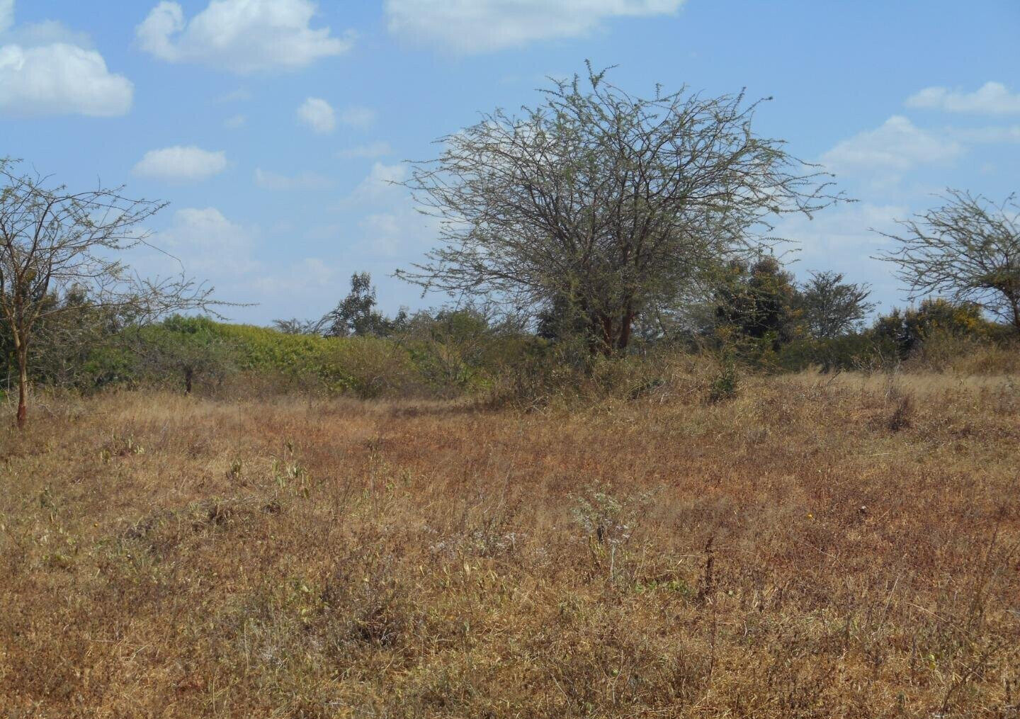 28-Acre Farm with Garden and Parking - Machakos
