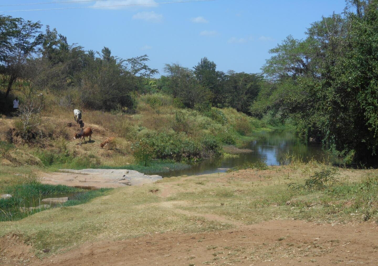 28-Acre Farm with Garden and Parking - Machakos