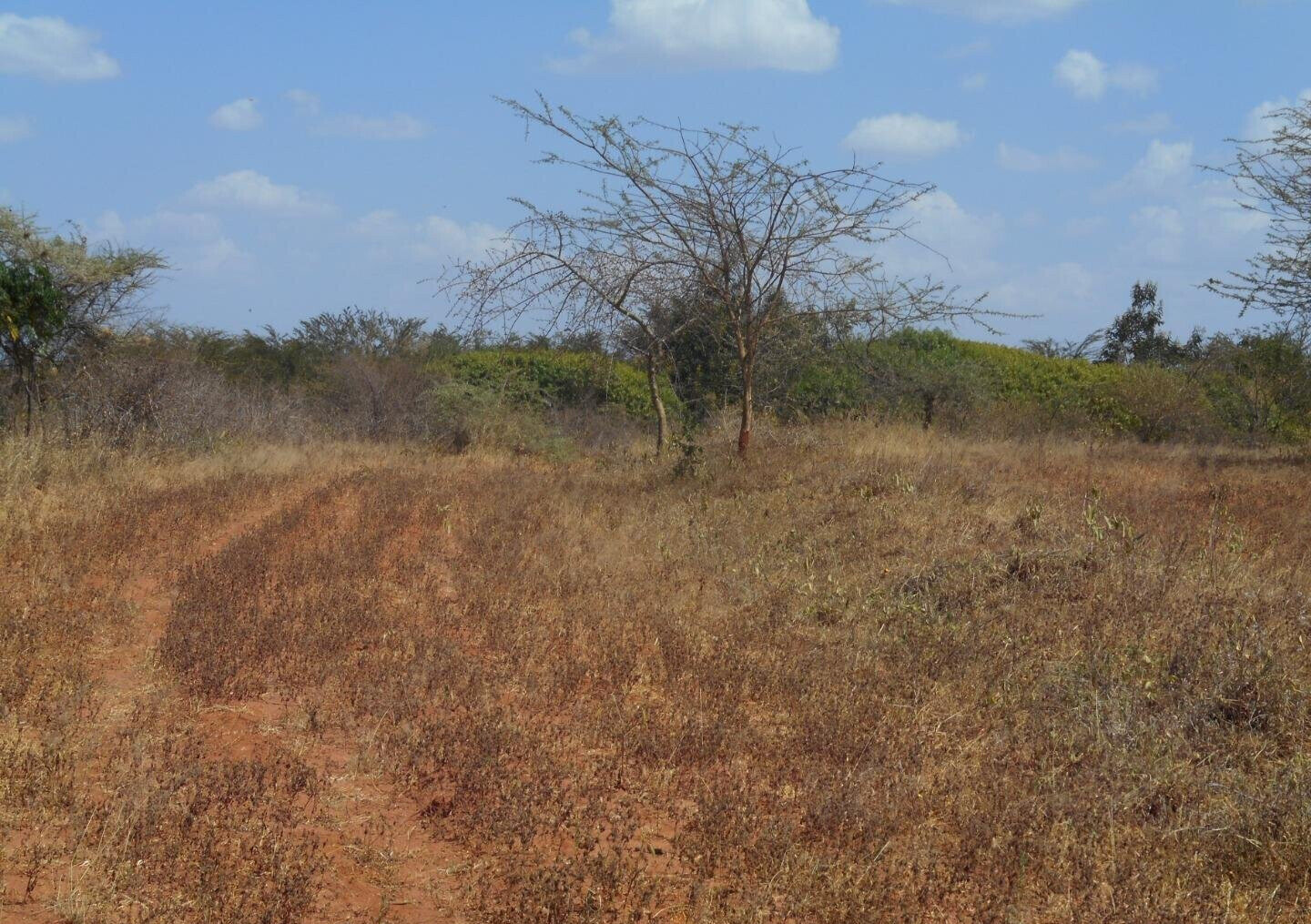 28-Acre Farm with Garden and Parking - Machakos
