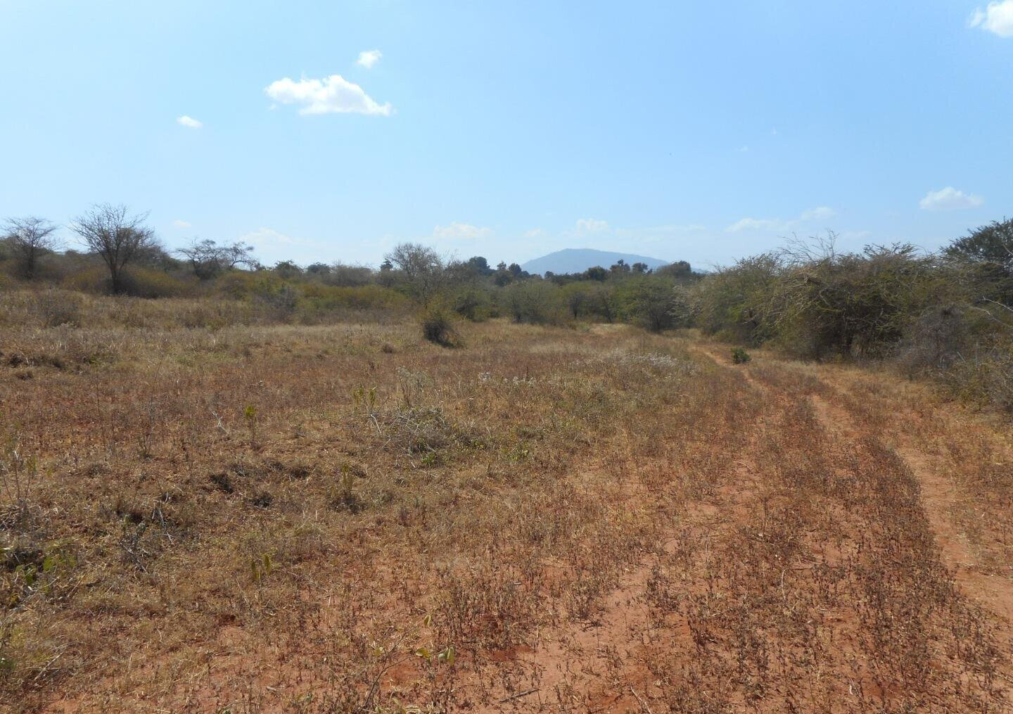 28-Acre Farm with Garden and Parking - Machakos