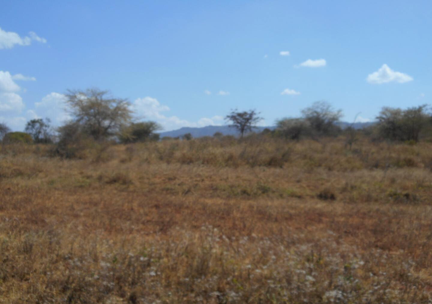 28-Acre Farm with Garden and Parking - Machakos