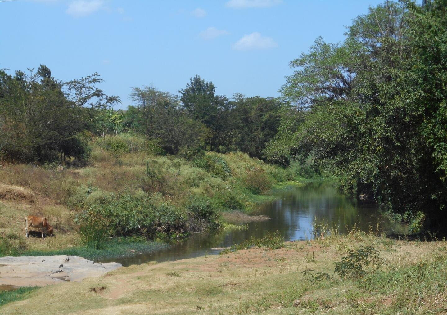 28-Acre Farm with Garden and Parking - Machakos