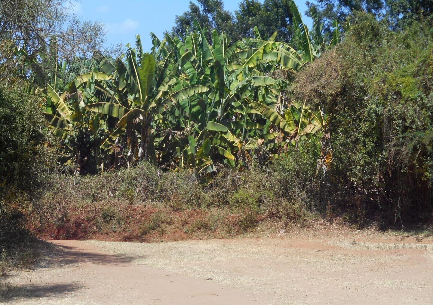 28-Acre Farm with Garden and Parking - Machakos