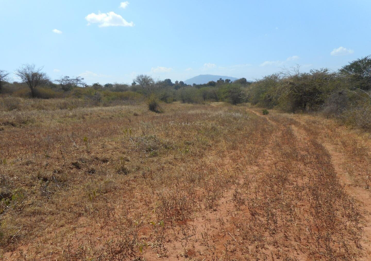 28-Acre Farm with Garden and Parking - Machakos