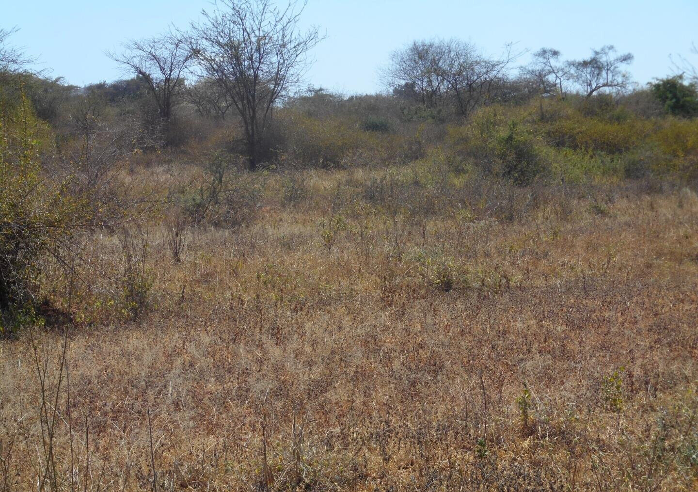 28-Acre Farm with Garden and Parking - Machakos