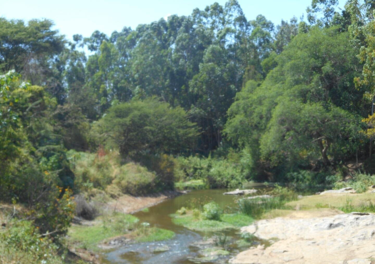 28-Acre Farm with Garden and Parking - Machakos