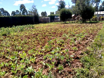 2bdrm Bungalow in Sogomo, Kimumu for Sale - Image 5