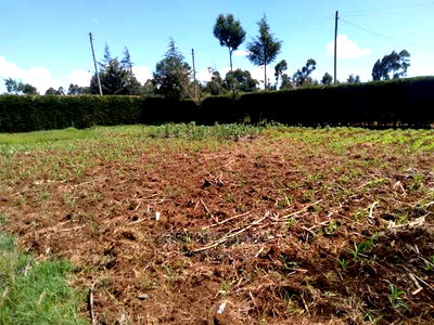 2bdrm Bungalow in Sogomo, Kimumu for Sale - Image 6