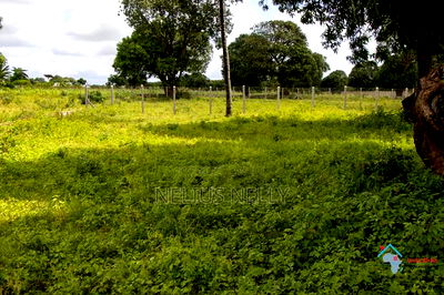 Airport View Malindi Prime Plots for Sale - Image 5