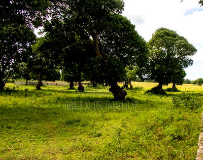 Airport View Malindi Prime Plots for Sale - Image 6