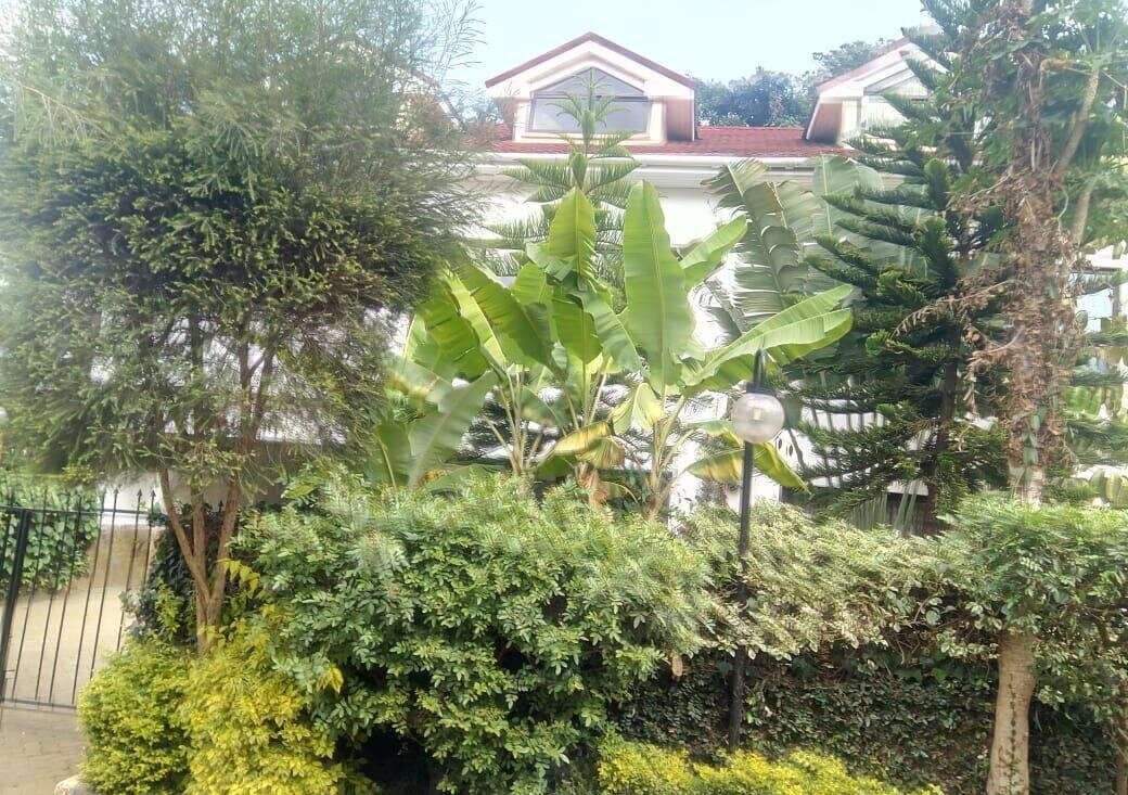 5-Ensuite Townhouse with Power Inverter & DSQ - Lavington