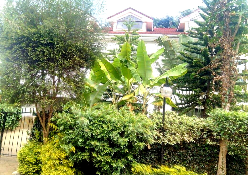 5-Ensuite Townhouse with Power Inverter & DSQ - Lavington