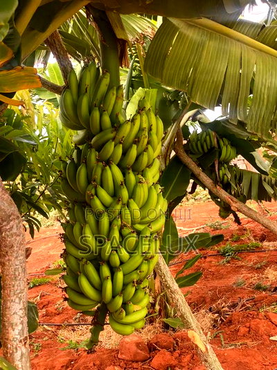 Virgin 50 Acres Prime Land Embu Mbeere North - Image 1