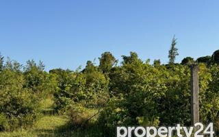 Quarter Acre Plot Under 2M
