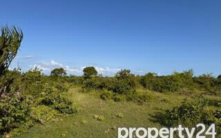 Quarter Acre Plot Under 2M