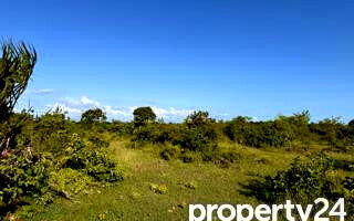 Quarter Acre Plot Under 2M
