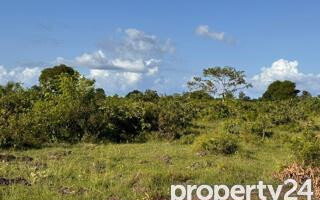 Quarter Acre Plot Under 2M