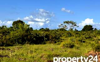 Quarter Acre Plot Under 2M