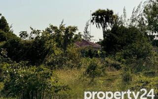 Quarter Acre Plot Under 2M