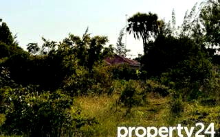 Quarter Acre Plot Under 2M
