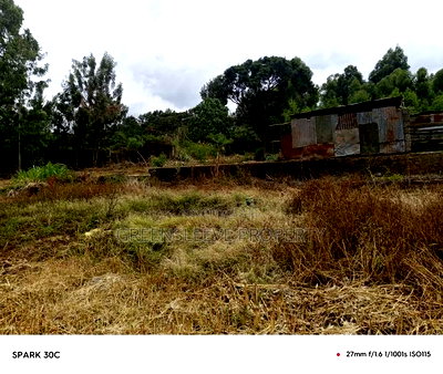 Half Acre for Sale - Image 6