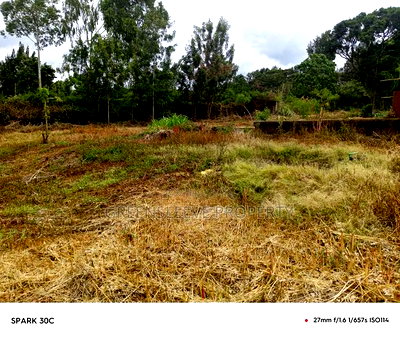 Half Acre for Sale - Image 5