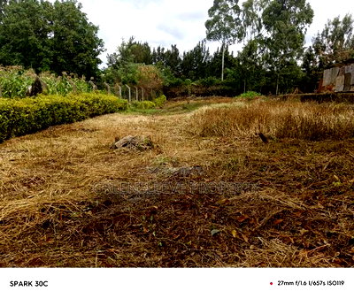 Half Acre for Sale - Image 3