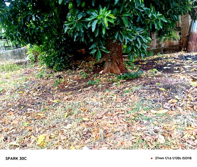 Half Acre for Sale - Image 4