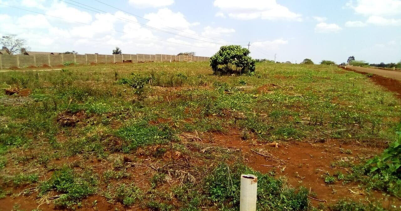 Garden Oasis on 0.44 Acre