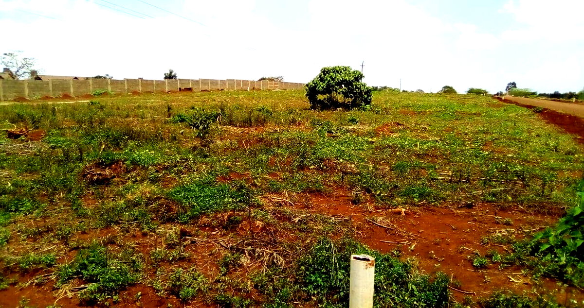 Garden Oasis on 0.44 Acre