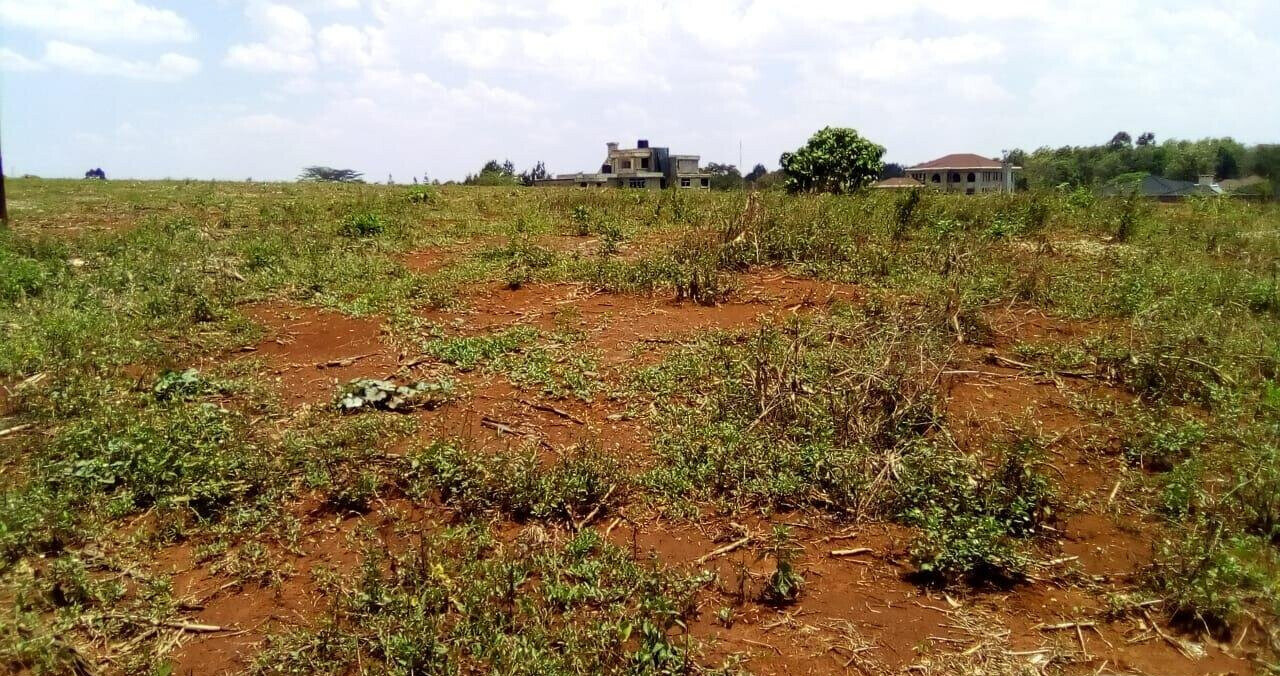 Garden Oasis on 0.44 Acre