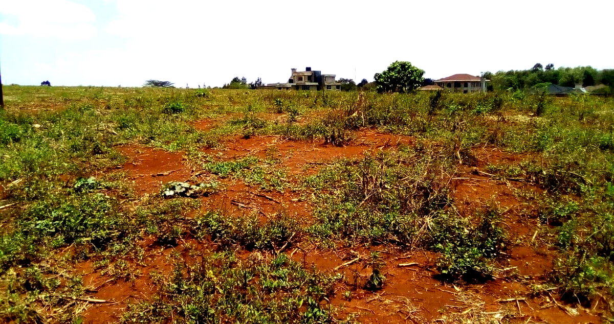 Garden Oasis on 0.44 Acre