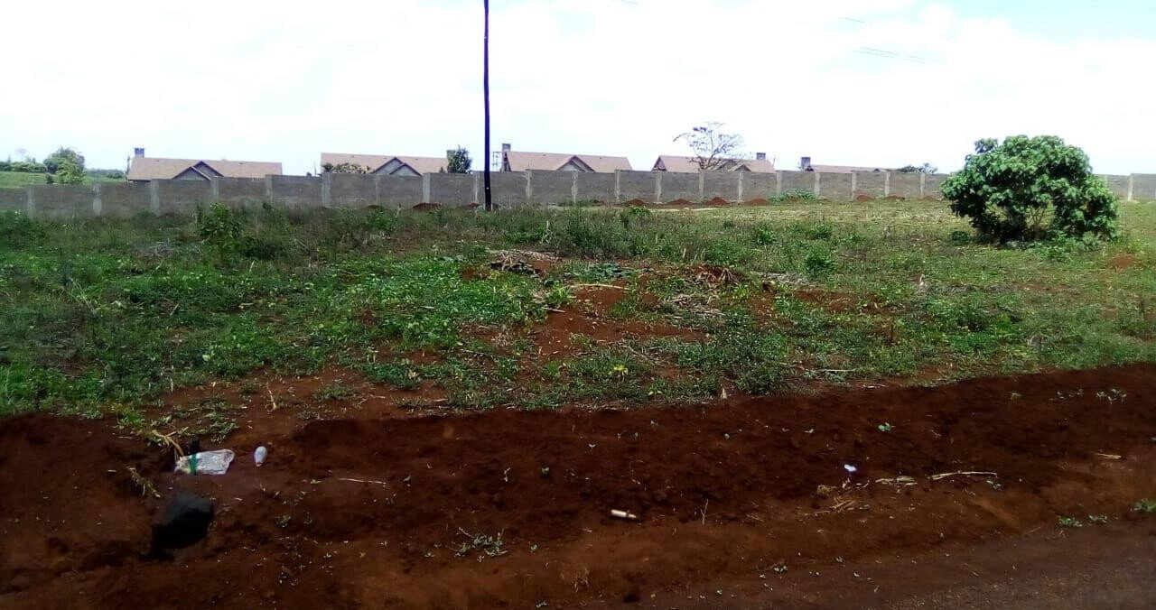 Garden Oasis on 0.44 Acre