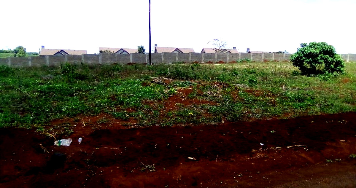 Garden Oasis on 0.44 Acre