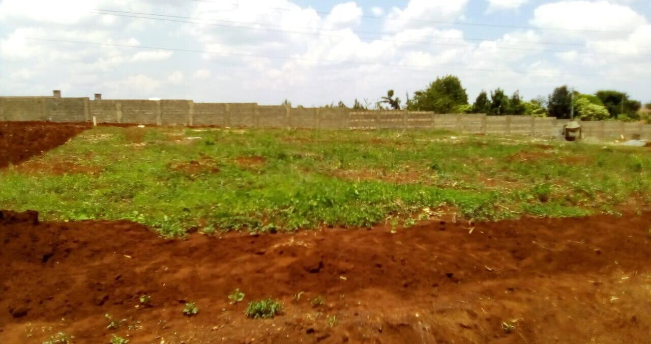 Garden Oasis on 0.44 Acre