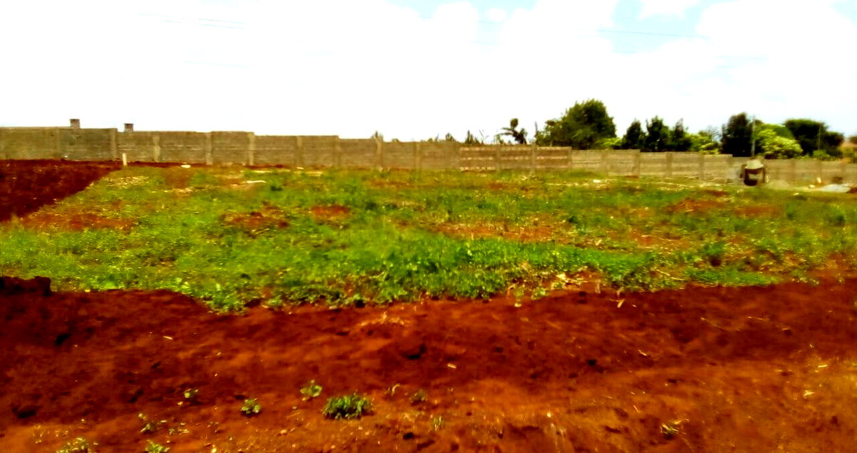 Garden Oasis on 0.44 Acre