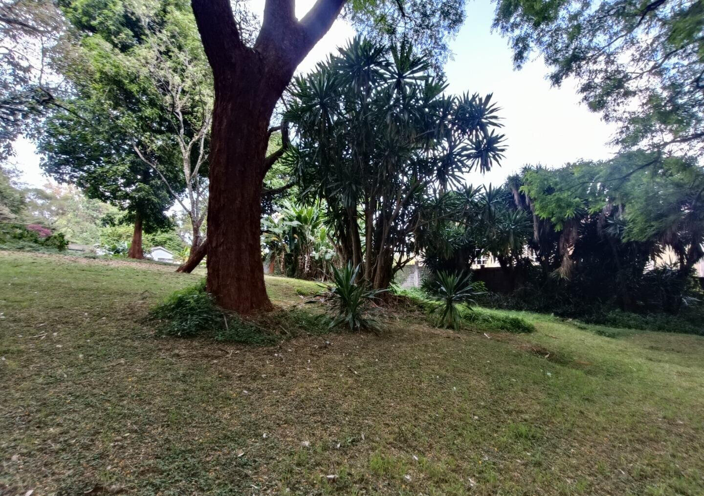 5-Acre Garden Plot with Parking at KSh 500M