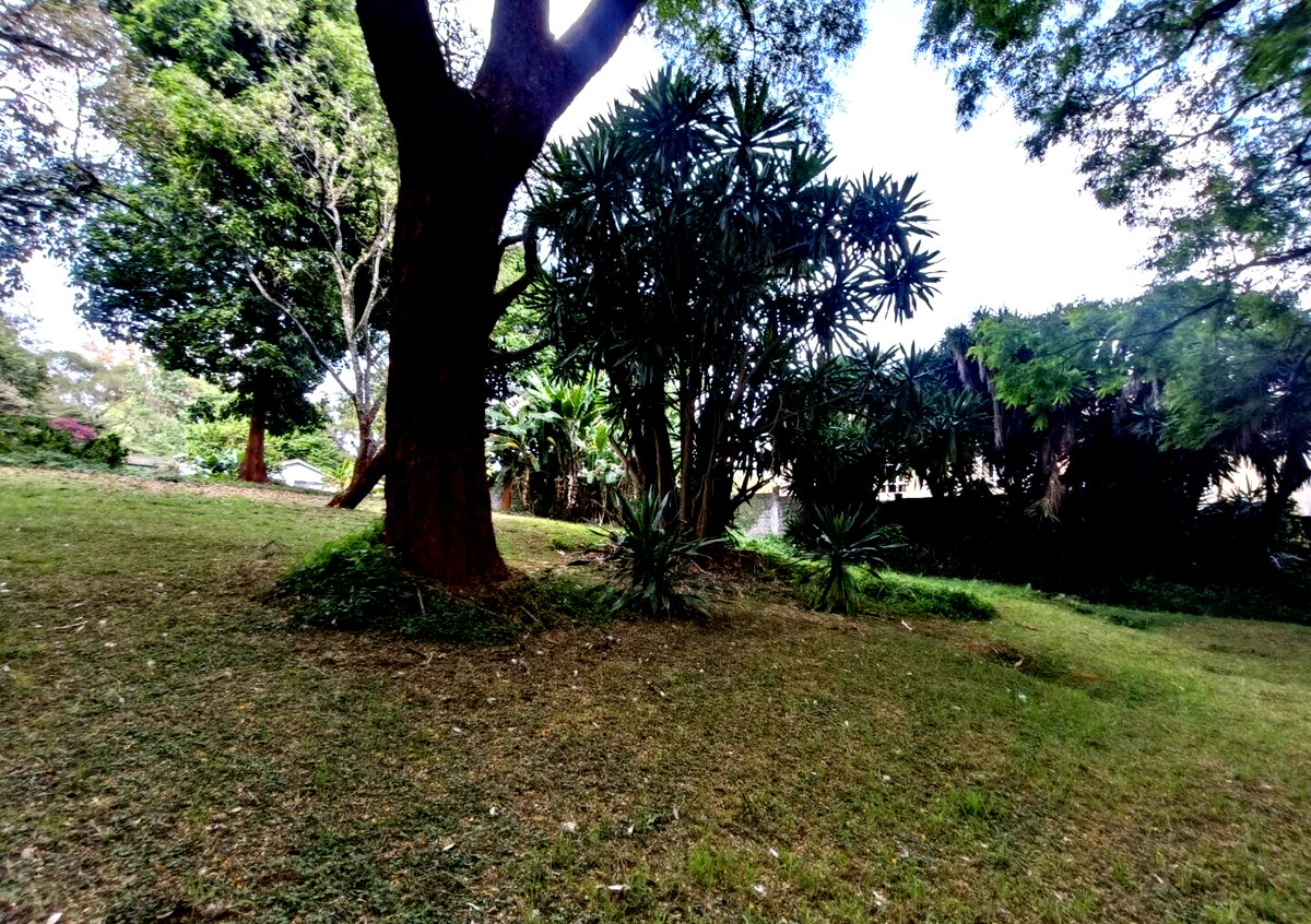 5-Acre Garden Plot with Parking at KSh 500M