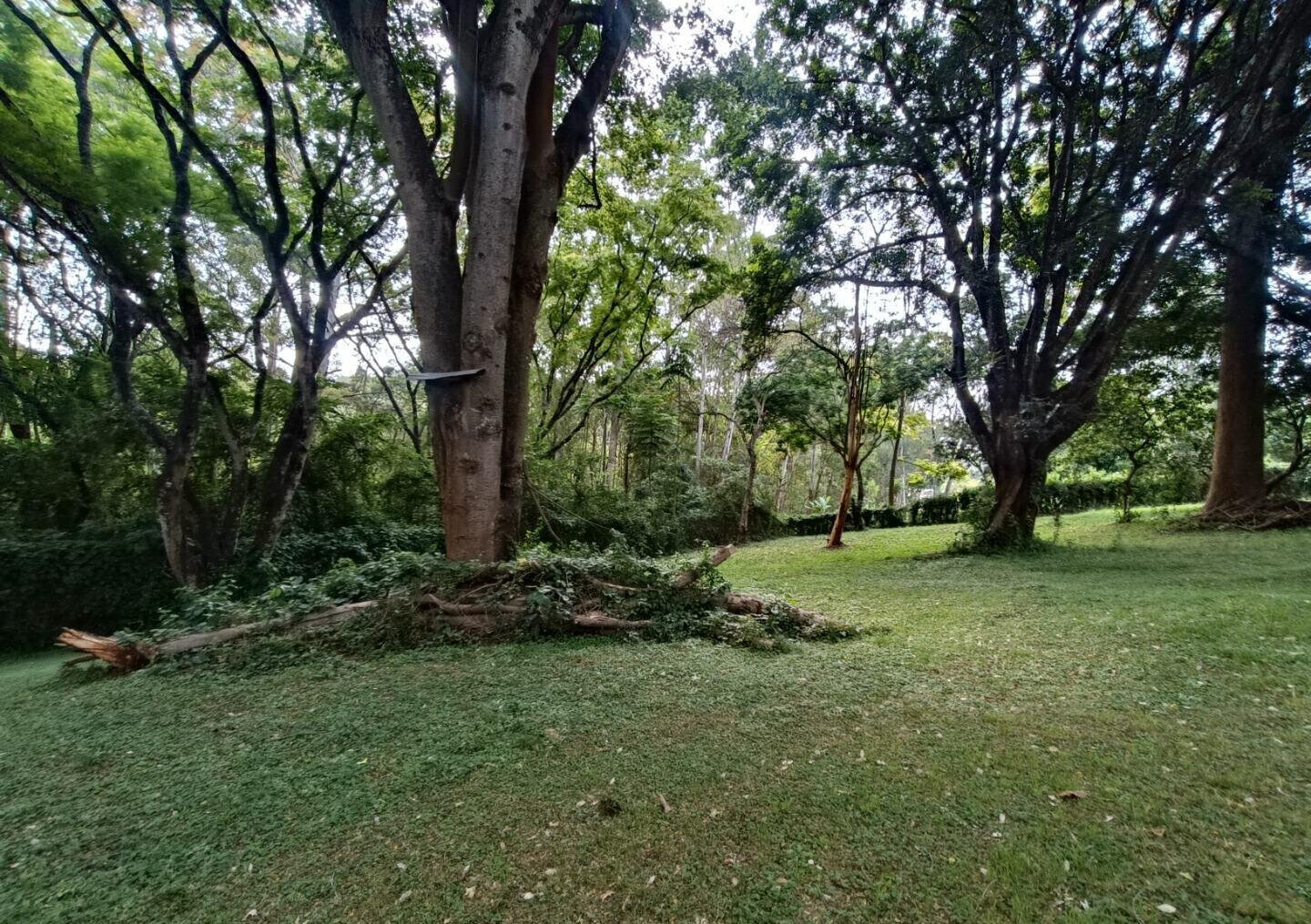 5-Acre Garden Plot with Parking at KSh 500M