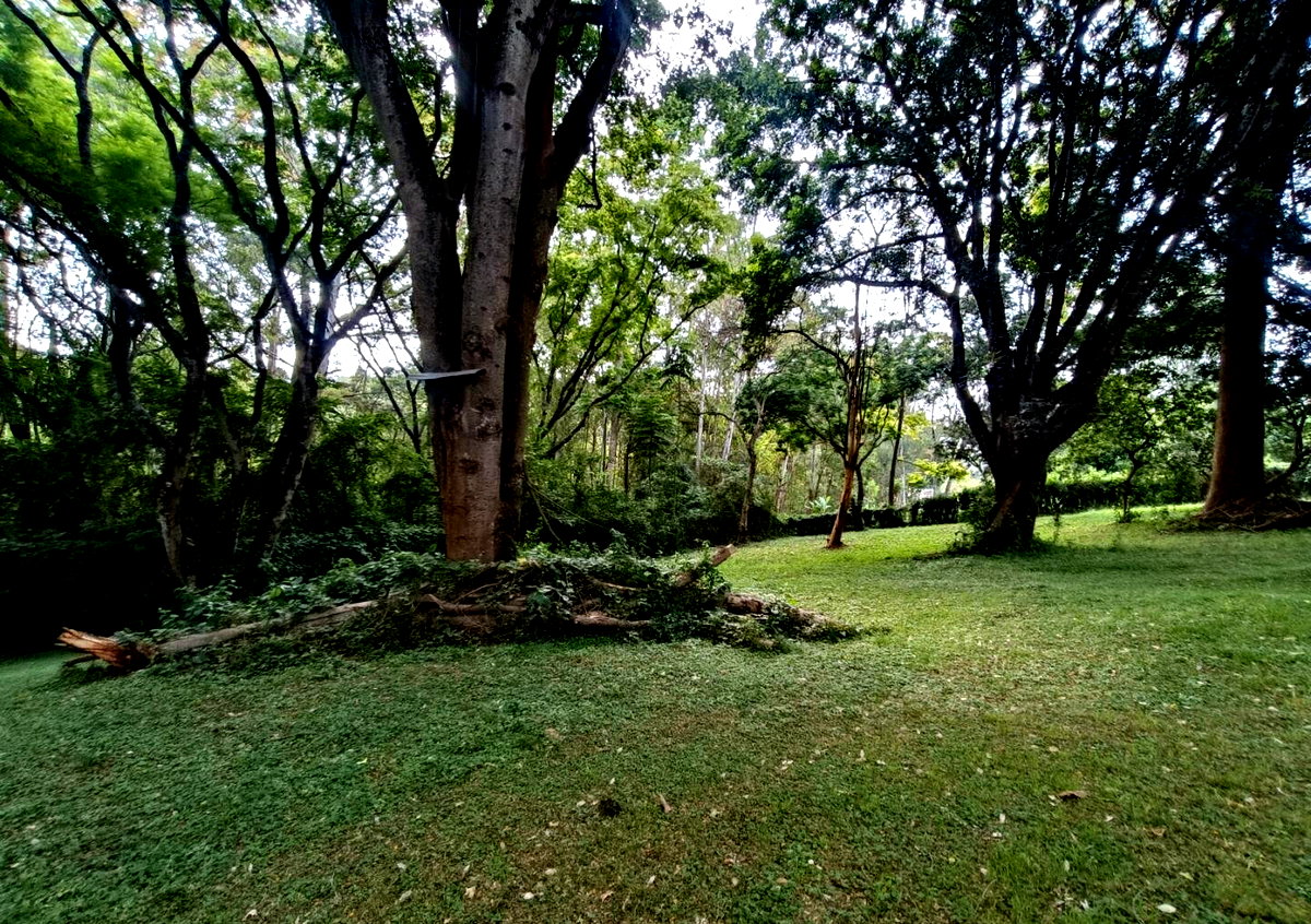 5-Acre Garden Plot with Parking at KSh 500M