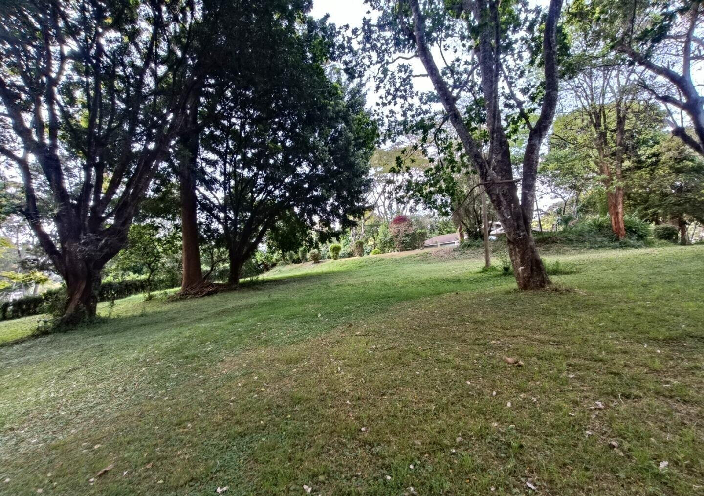 5-Acre Garden Plot with Parking at KSh 500M